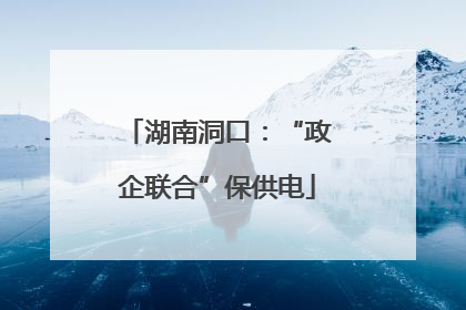 湖南洞口：“政企联合”保供电
